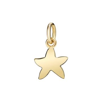 Anhänger Gelbgold 750 DoDo Starfish Gelbgold